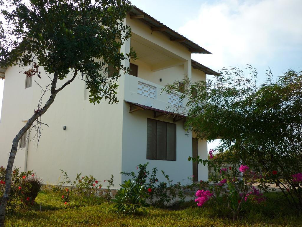 Kamili View Apartments Kiwengwa  Bagian luar foto