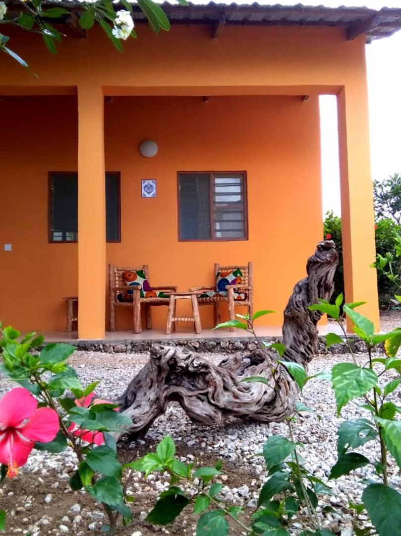 Kamili View Apartments Kiwengwa  Bagian luar foto